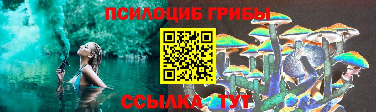 Псилоцибиновые грибы мицелий Славянск-на-Кубани